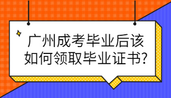 廣州成考畢業
