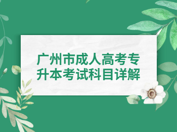 廣州市成人高考專升本考試科目