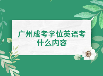 廣州成考 廣州成考學(xué)位英語