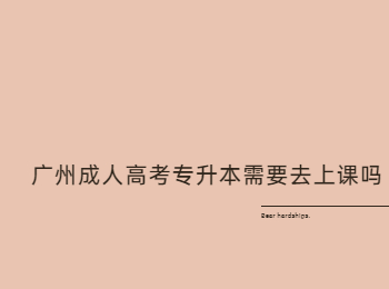 廣州成人高考專升本