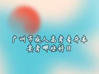 廣州市成人高考專升本