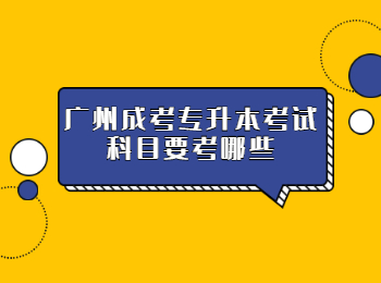 廣州成考專升本考試科目