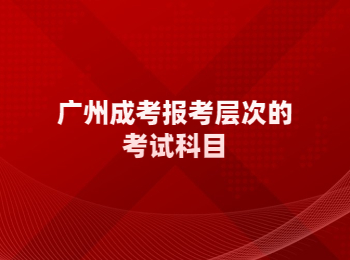 廣州成考報考層次