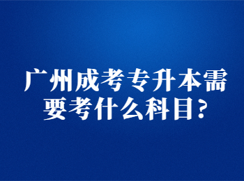廣州成考專升本 廣州成考